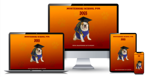 Montessori School for Dogs Program