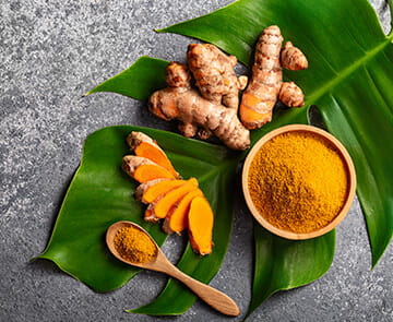 Earth Echo Turmeric Ginger Supplement